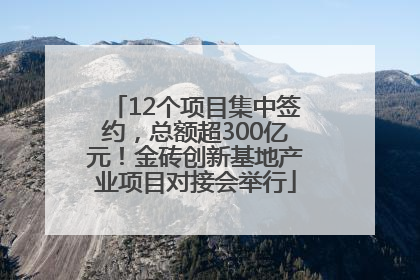 12个项目集中签约，总额超300亿元！金砖创新基地产业项目对接会举行