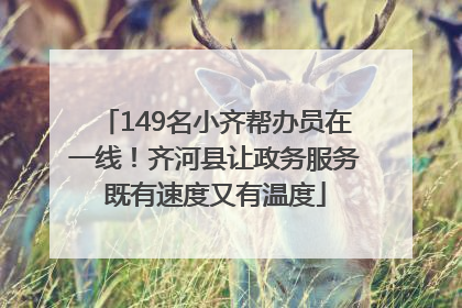 149名小齐帮办员在一线！齐河县让政务服务既有速度又有温度