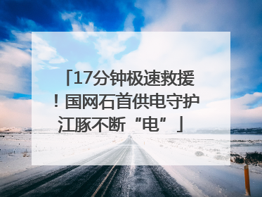 17分钟极速救援！国网石首供电守护江豚不断“电”