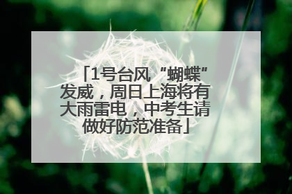 1号台风“蝴蝶”发威，周日上海将有大雨雷电，中考生请做好防范准备