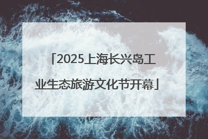 2025上海长兴岛工业生态旅游文化节开幕