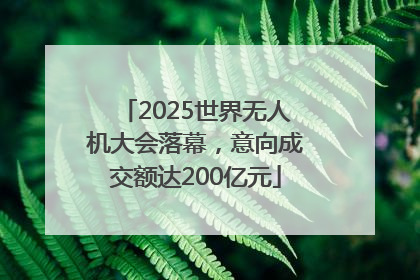 2025世界无人机大会落幕，意向成交额达200亿元