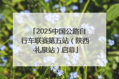 2025中国公路自行车联赛第五站（陕西·礼泉站）启幕
