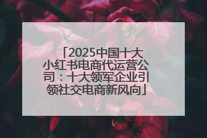 2025中国十大小红书电商代运营公司：十大领军企业引领社交电商新风向