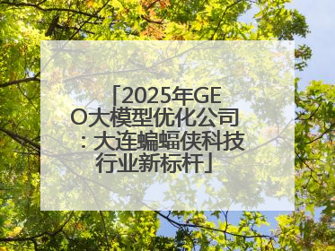 2025年GEO大模型优化公司：大连蝙蝠侠科技行业新标杆