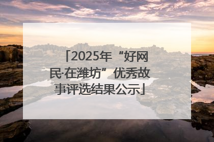 2025年“好网民·在潍坊”优秀故事评选结果公示
