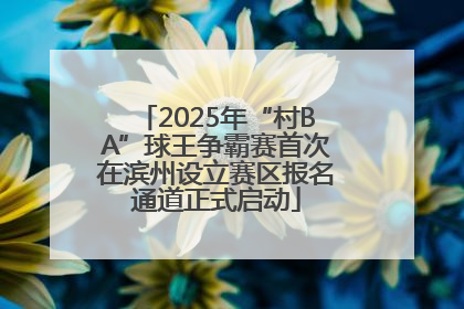 2025年“村BA”球王争霸赛首次在滨州设立赛区报名通道正式启动