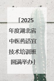 2025年度湖北省中医药适宜技术培训班圆满举办