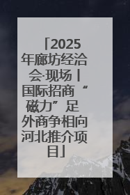 2025年廊坊经洽会·现场丨国际招商“磁力”足 外商争相向河北推介项目