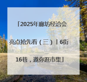 2025年廊坊经洽会亮点抢先看（三）丨6街16巷，邀你逛市集