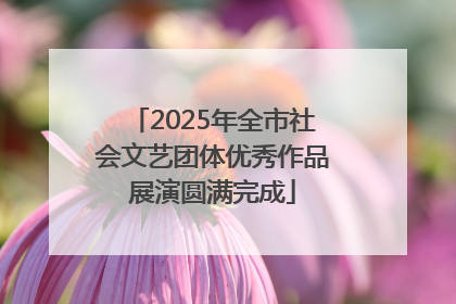 2025年全市社会文艺团体优秀作品展演圆满完成