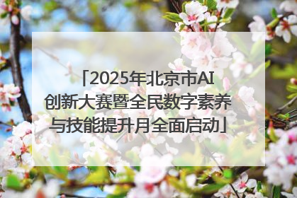 2025年北京市AI创新大赛暨全民数字素养与技能提升月全面启动