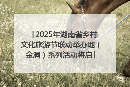 2025年湖南省乡村文化旅游节联动举办地（金洞）系列活动将启