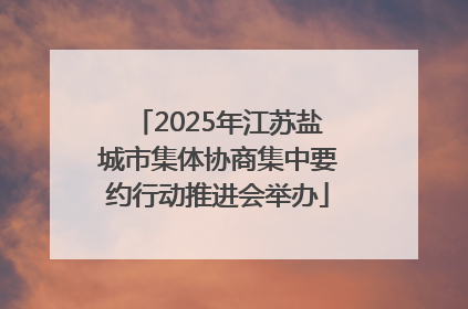 2025年江苏盐城市集体协商集中要约行动推进会举办