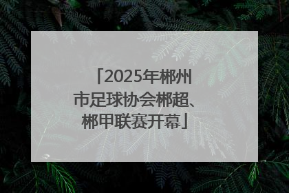2025年郴州市足球协会郴超、郴甲联赛开幕