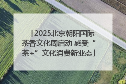 2025北京朝阳国际茶香文化周启动 感受“茶+”文化消费新业态