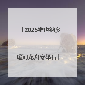 2025维也纳多瑙河龙舟赛举行