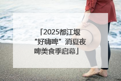 2025都江堰“好嗨啤”消夏夜啤美食季启幕