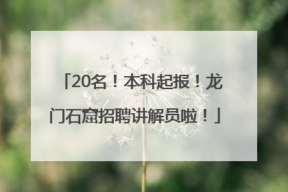 20名！本科起报！龙门石窟招聘讲解员啦！