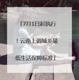 7月1日起执行！云南上调城乡最低生活保障标准