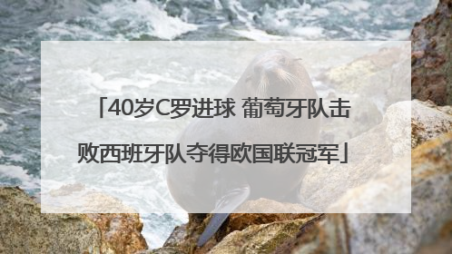 40岁C罗进球 葡萄牙队击败西班牙队夺得欧国联冠军