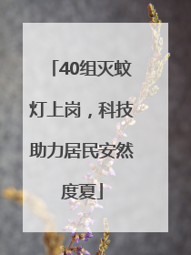 40组灭蚊灯上岗，科技助力居民安然度夏