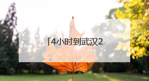 4小时到武汉24小时达新疆，京东助广东荔枝“鲜”到全国