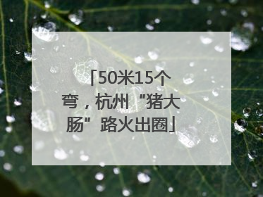 50米15个弯，杭州“猪大肠”路火出圈