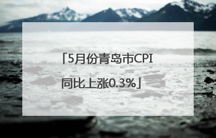 5月份青岛市CPI同比上涨0.3%