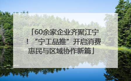 60余家企业齐聚江宁！“宁工品推”开启消费惠民与区域协作新篇