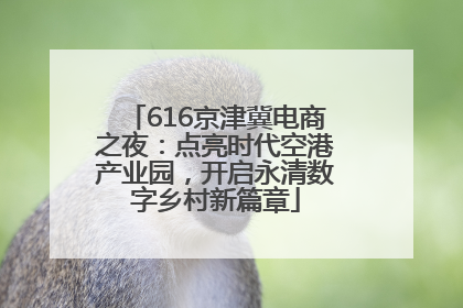 616京津冀电商之夜：点亮时代空港产业园，开启永清数字乡村新篇章