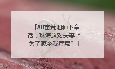 80亩荒地种下童话，珠海这对夫妻“为了家乡我愿意”