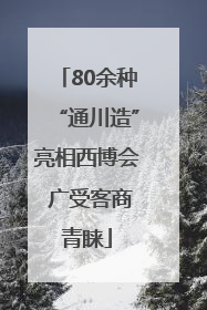 80余种“通川造”亮相西博会 广受客商青睐