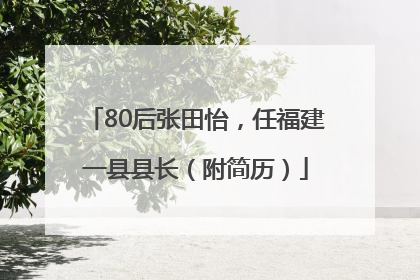 80后张田怡，任福建一县县长（附简历）