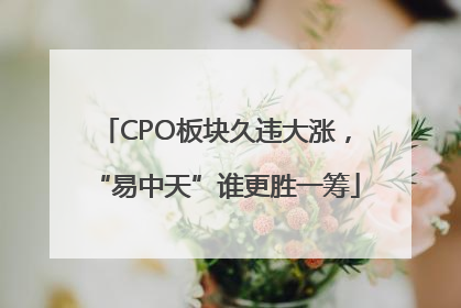CPO板块久违大涨，“易中天”谁更胜一筹