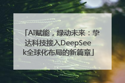 AI赋能，绿动未来：挚达科技接入DeepSeek全球化布局的新篇章