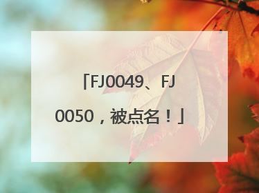 FJ0049、FJ0050，被点名！